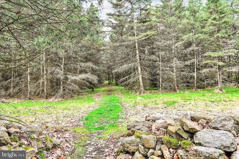 Tiny photo for 354 Millers Road, ZION GROVE, PA 17985 (MLS # PASK2026868)