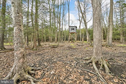 Tiny photo for 354 Millers Road, ZION GROVE, PA 17985 (MLS # PASK2026868)