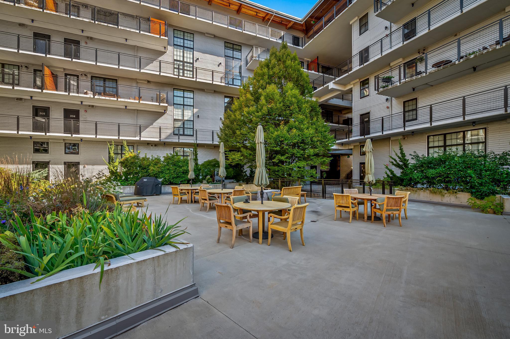 LITTLE ITALY - Residential