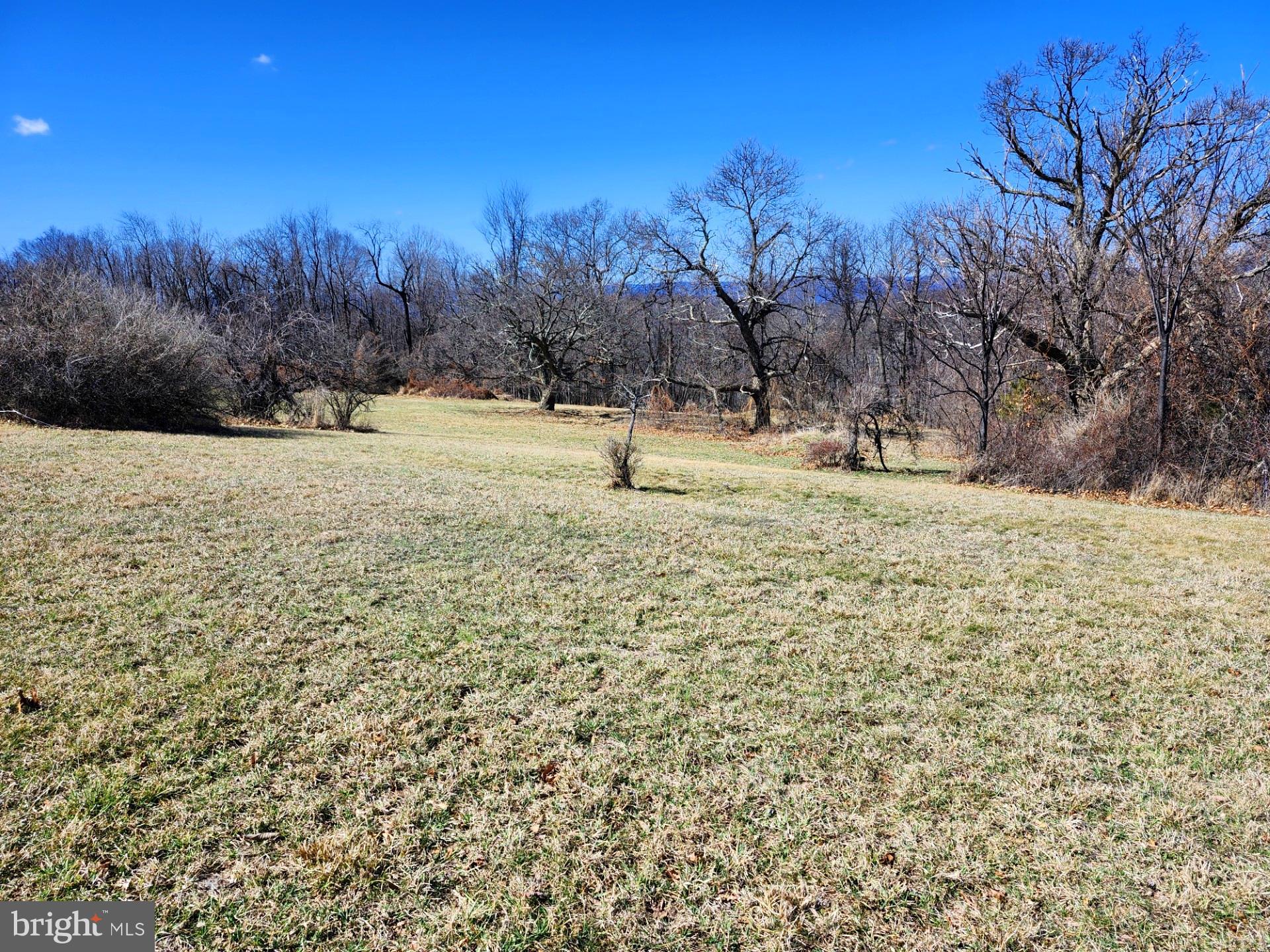 HIGH MOUNTAIN ORCHARD - Land