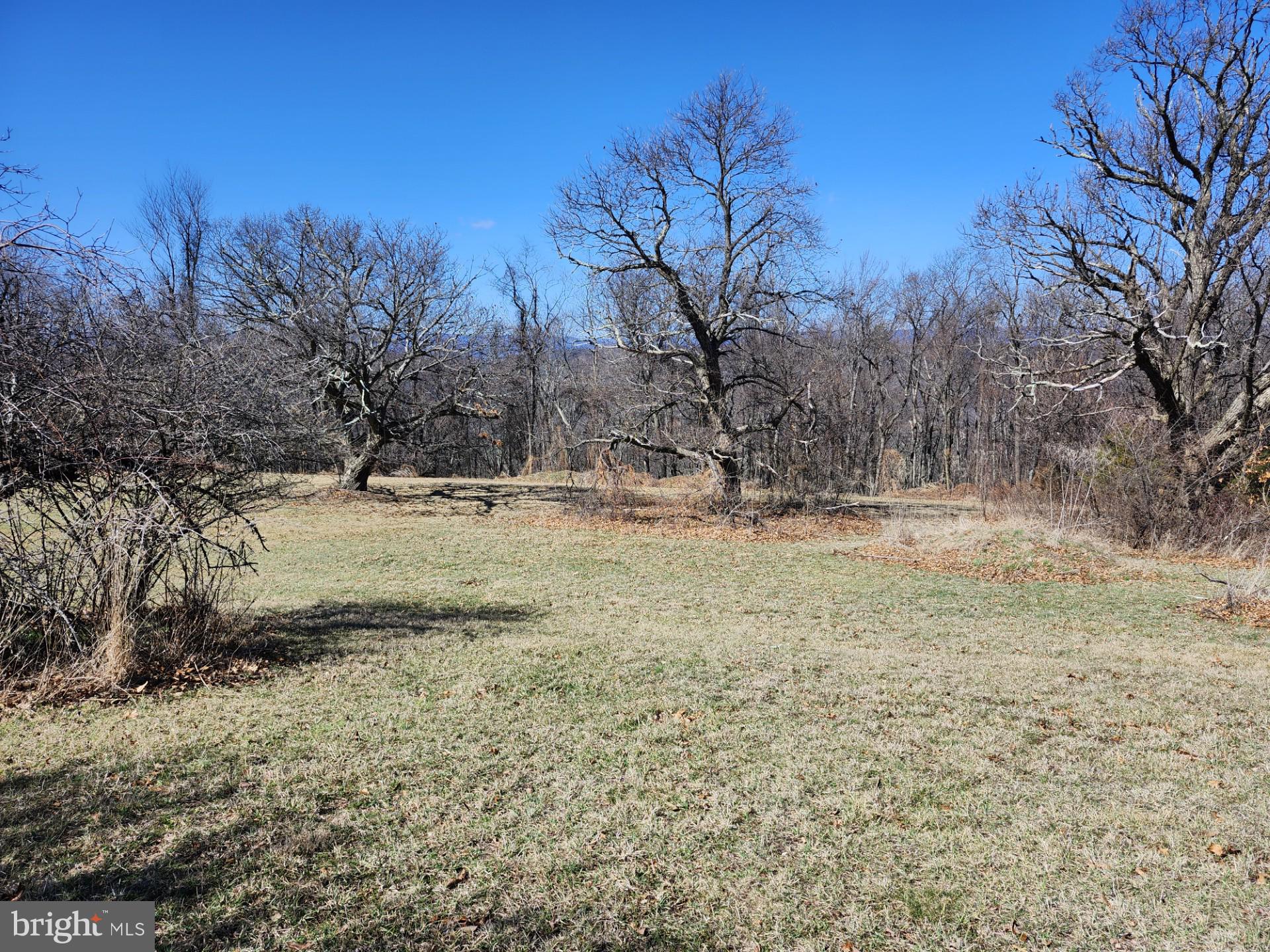 HIGH MOUNTAIN ORCHARD - Land