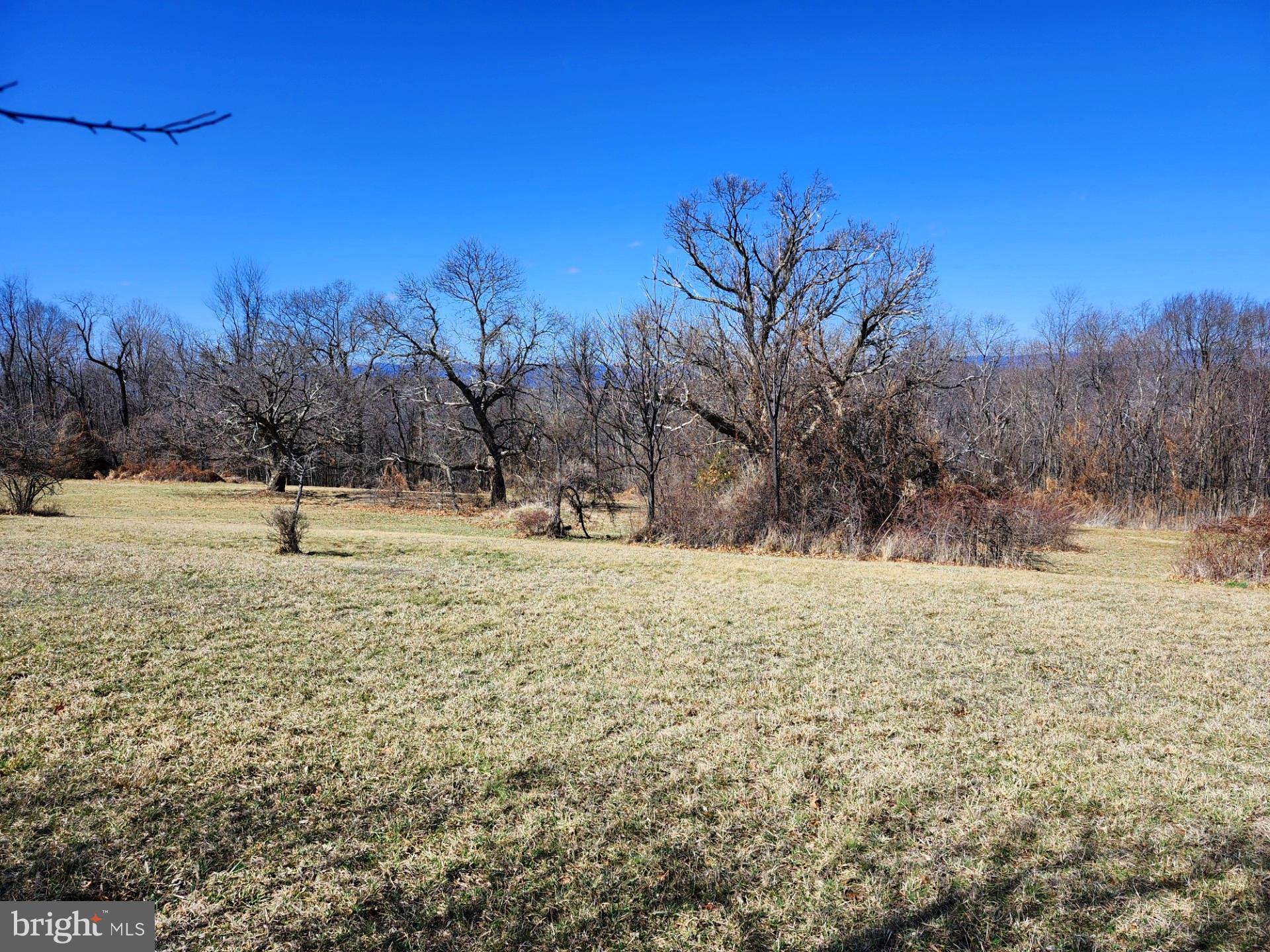 HIGH MOUNTAIN ORCHARD - Land