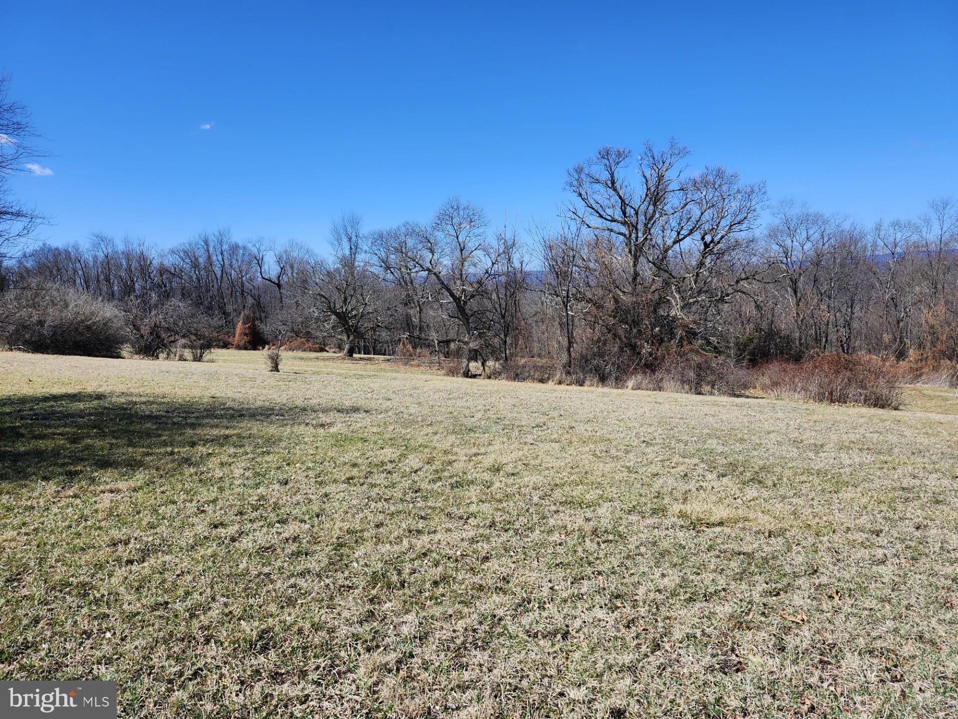 HIGH MOUNTAIN ORCHARD - Land