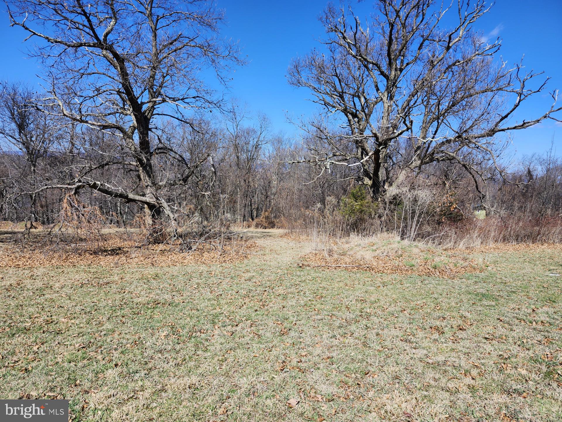 HIGH MOUNTAIN ORCHARD - Land