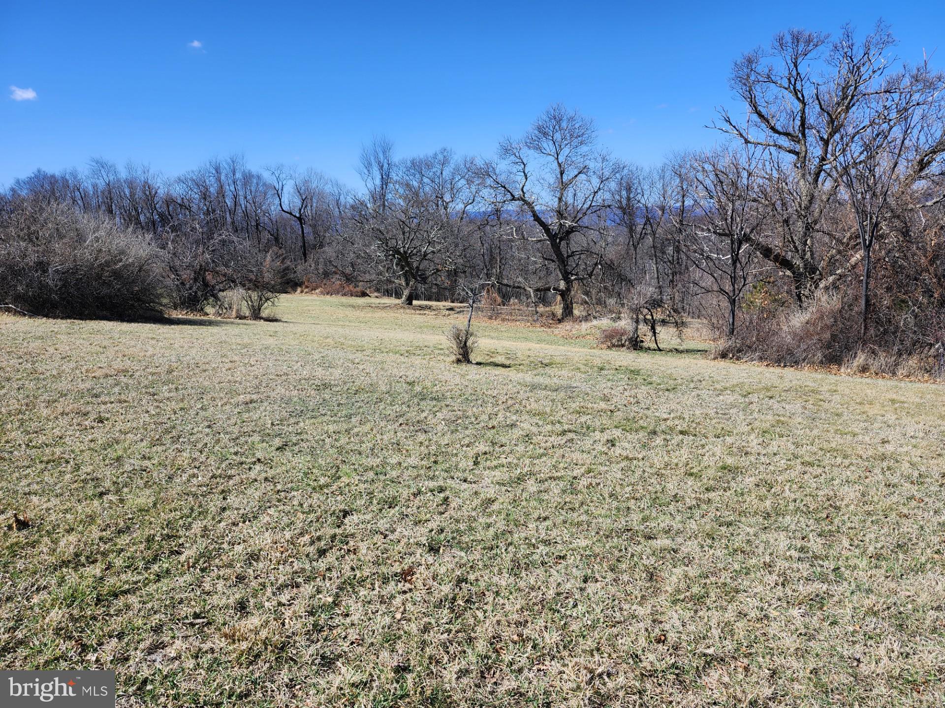 HIGH MOUNTAIN ORCHARD - Land