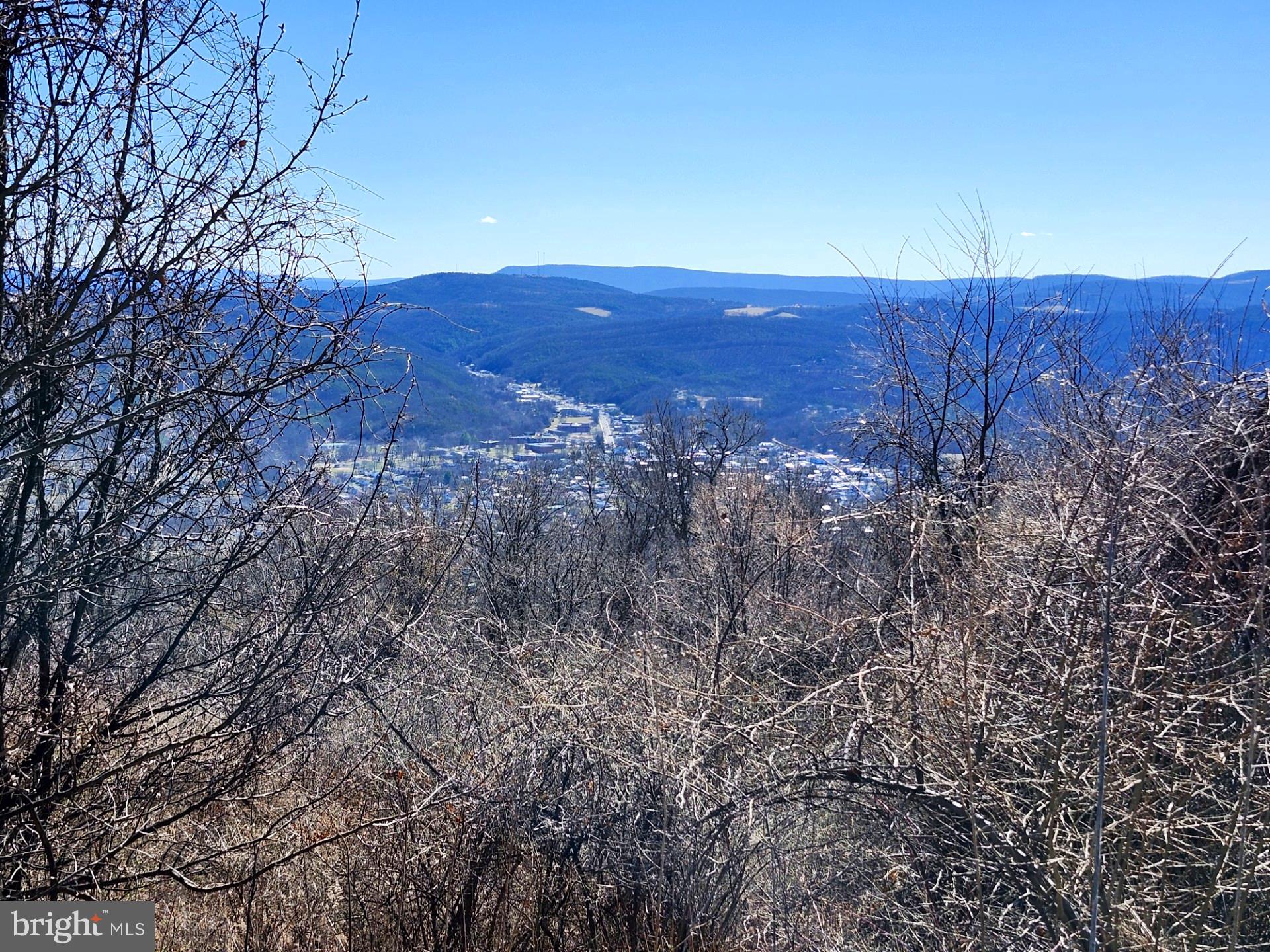 HIGH MOUNTAIN ORCHARD - Land