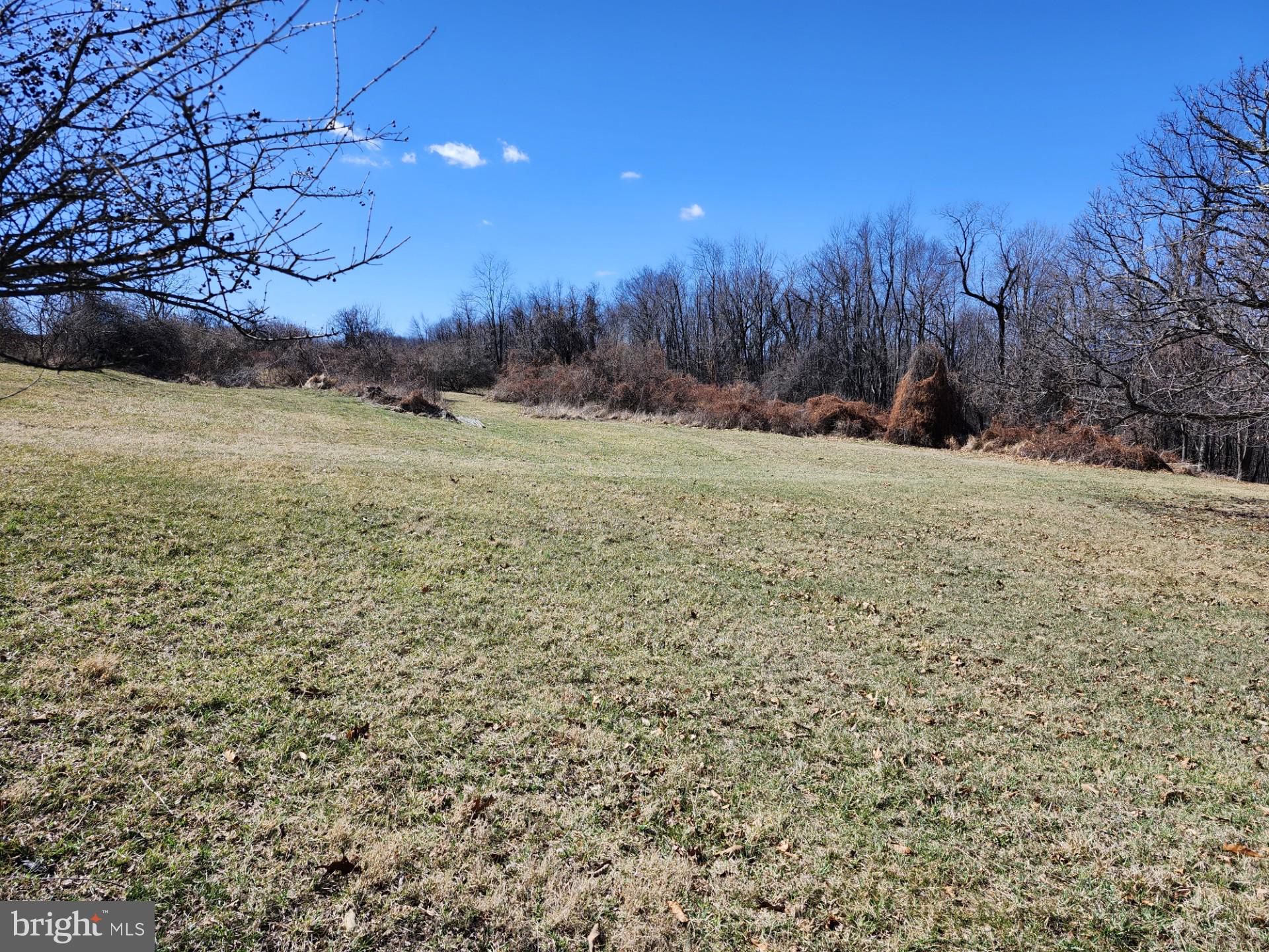 HIGH MOUNTAIN ORCHARD - Land