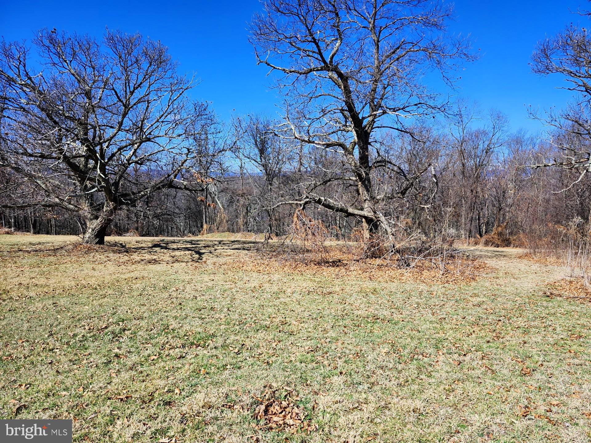 HIGH MOUNTAIN ORCHARD - Land