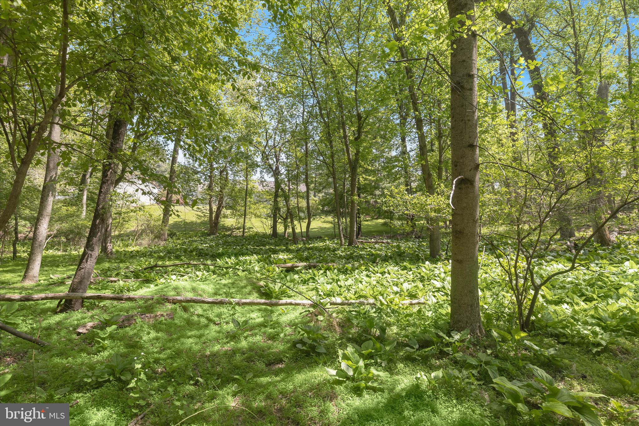FONT HILL - Residential