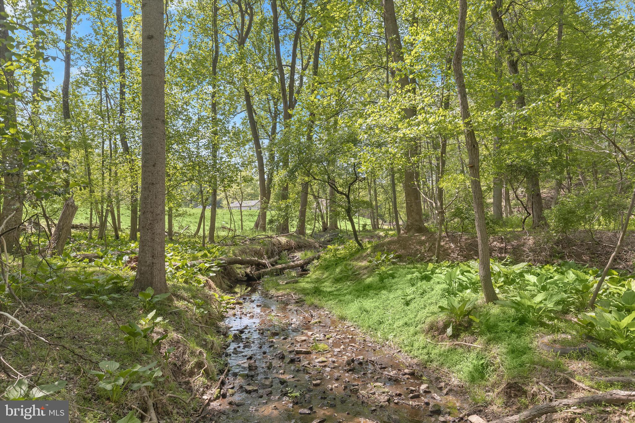 FONT HILL - Residential