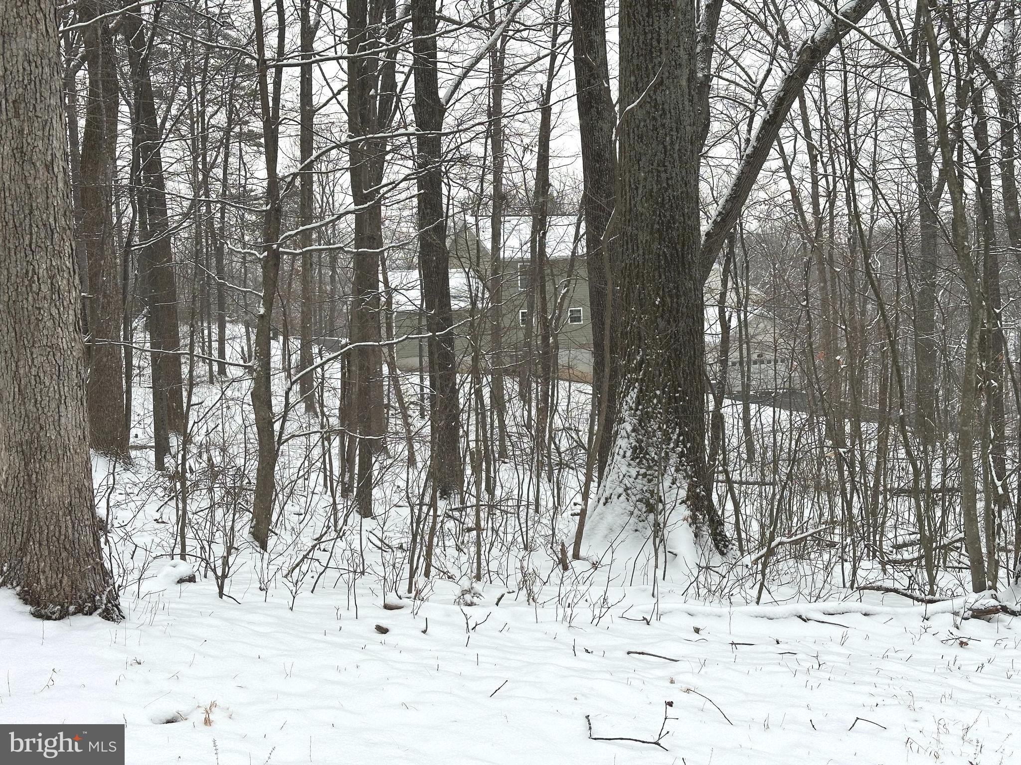 Lot 68 KILLBUCK TRAIL