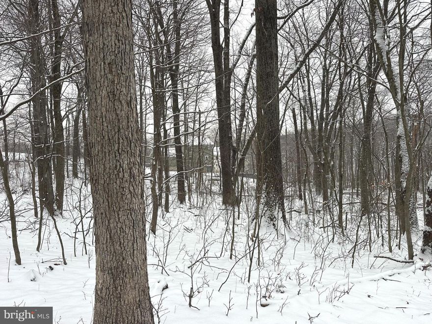 Build your perfect home in the  Shawnee Land community! This buildable 0.30-acre lot with a 2-bedroom perc offers a peaceful, natural setting while being conveniently located within 10 minutes of shopping, restaurants, the hospital, and the charm of Winchester’s Old Town. Enjoy wonderful community amenities, including a scenic lake with a sandy beach area, fishing, playground, and picnic areas—perfect for relaxation and outdoor recreation. A great opportunity to create your ideal home in a community that combines privacy, convenience, and lifestyle. All sizes are approximate. Sanitation Fees