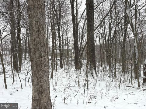 Lot 68 KILLBUCK TRAIL WINCHESTER VA 22602