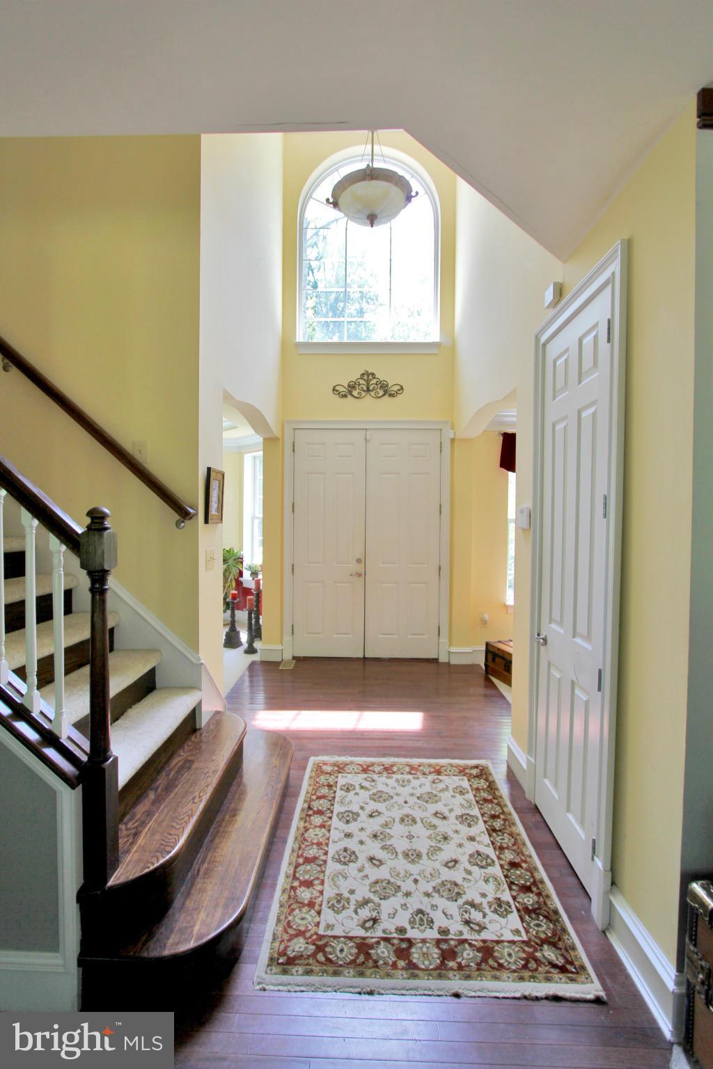 HARRY RALEY BASIC - Residential