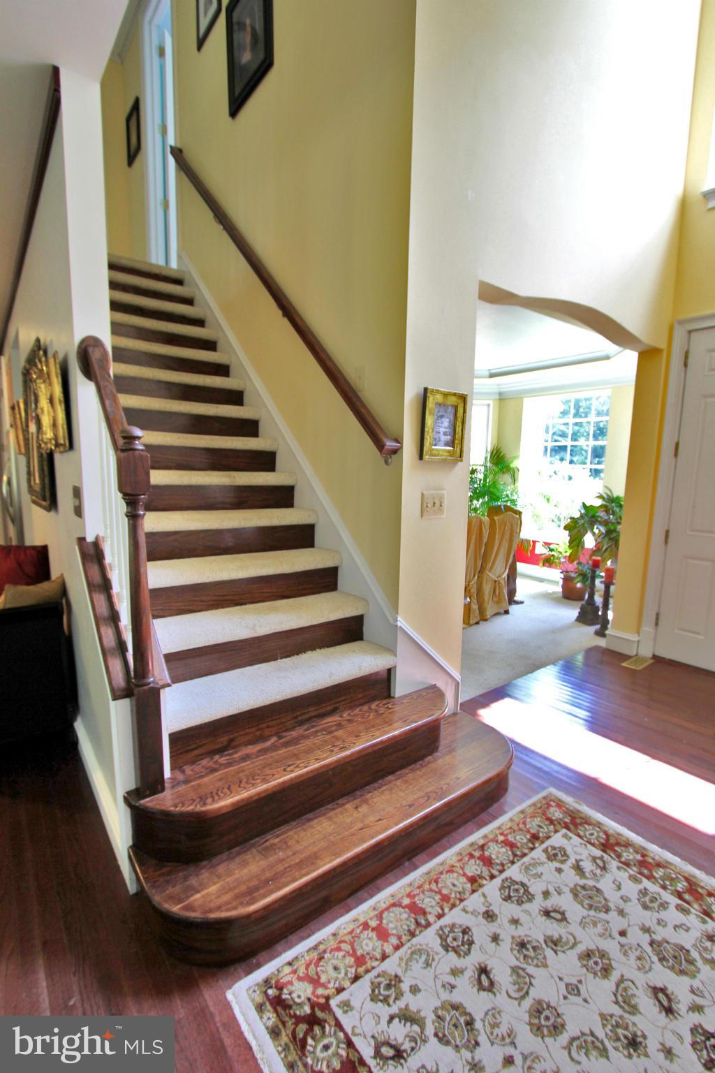 HARRY RALEY BASIC - Residential