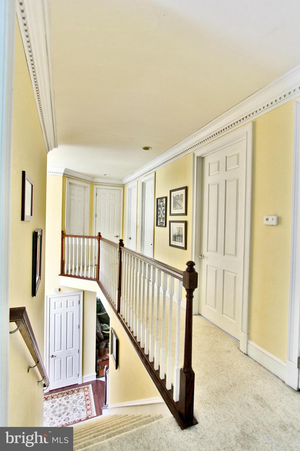 HARRY RALEY BASIC - Residential