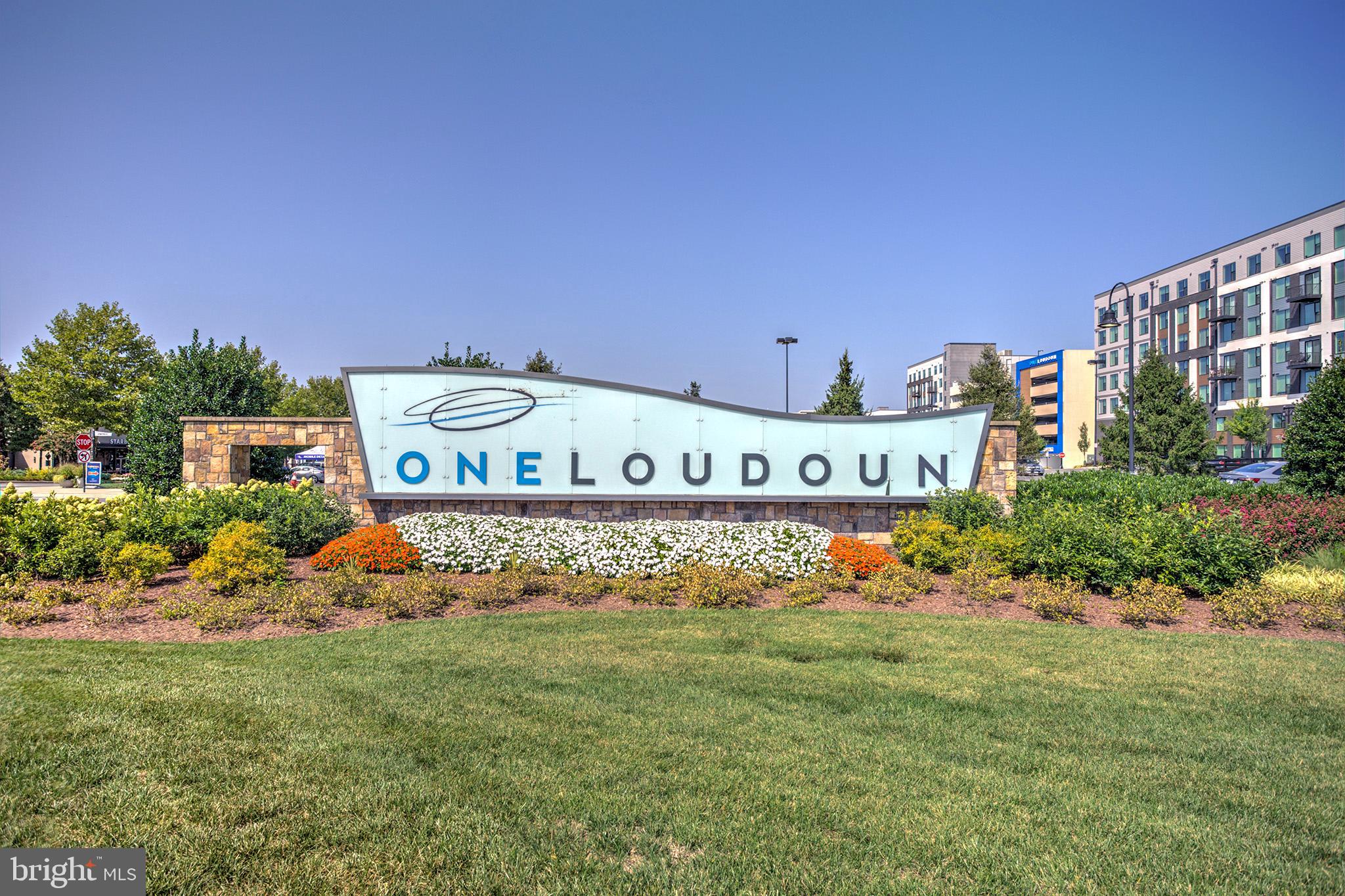 ONE LOUDOUN - Residential