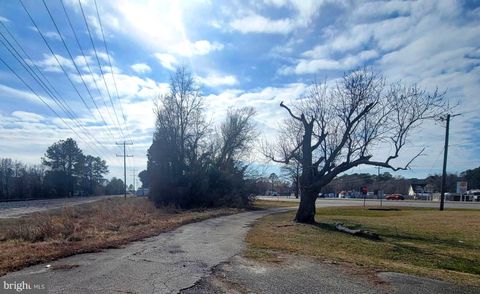 Photo of 109 S. Dulany Avenue, FRUITLAND, MD 21826 (MLS # MDWC2021868)