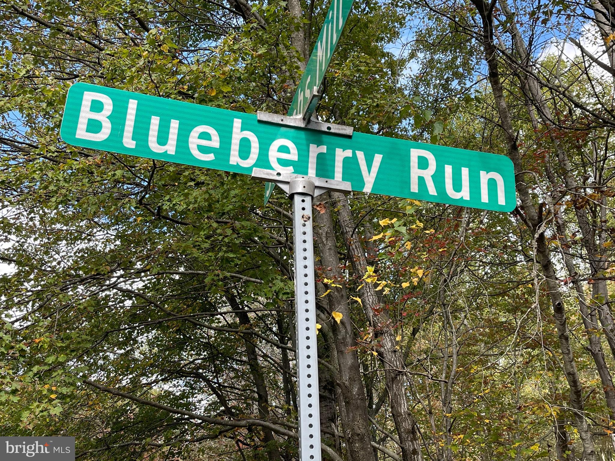 Lot 54 BLUEBERRY RUN