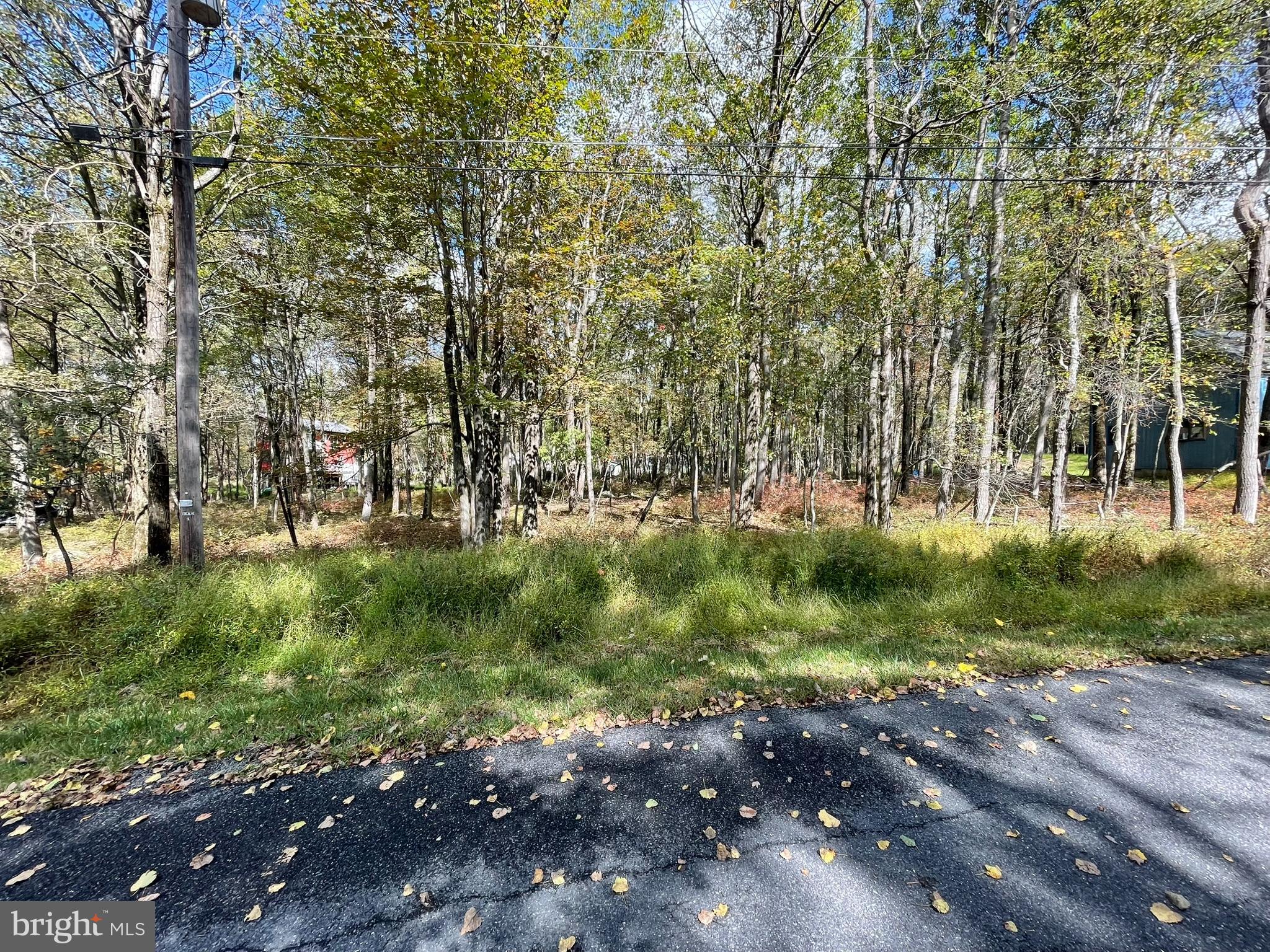 Lot 54 BLUEBERRY RUN