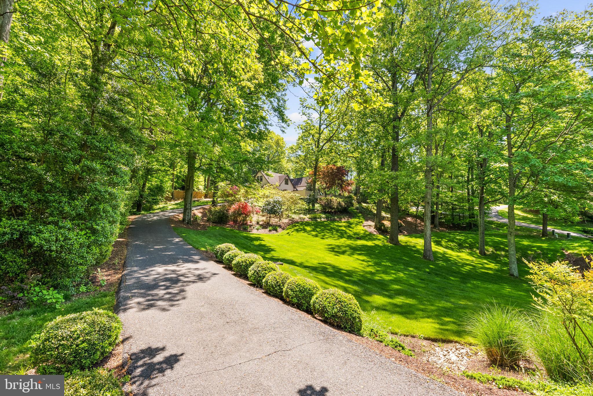 MAZZA WOODS - Residential