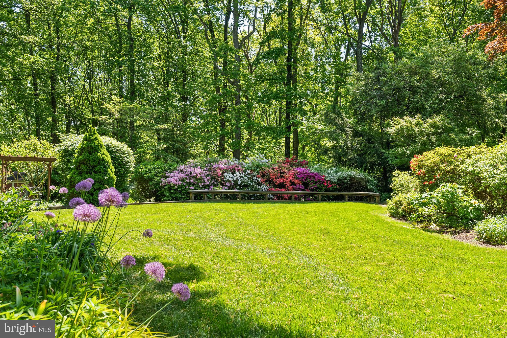 MAZZA WOODS - Residential