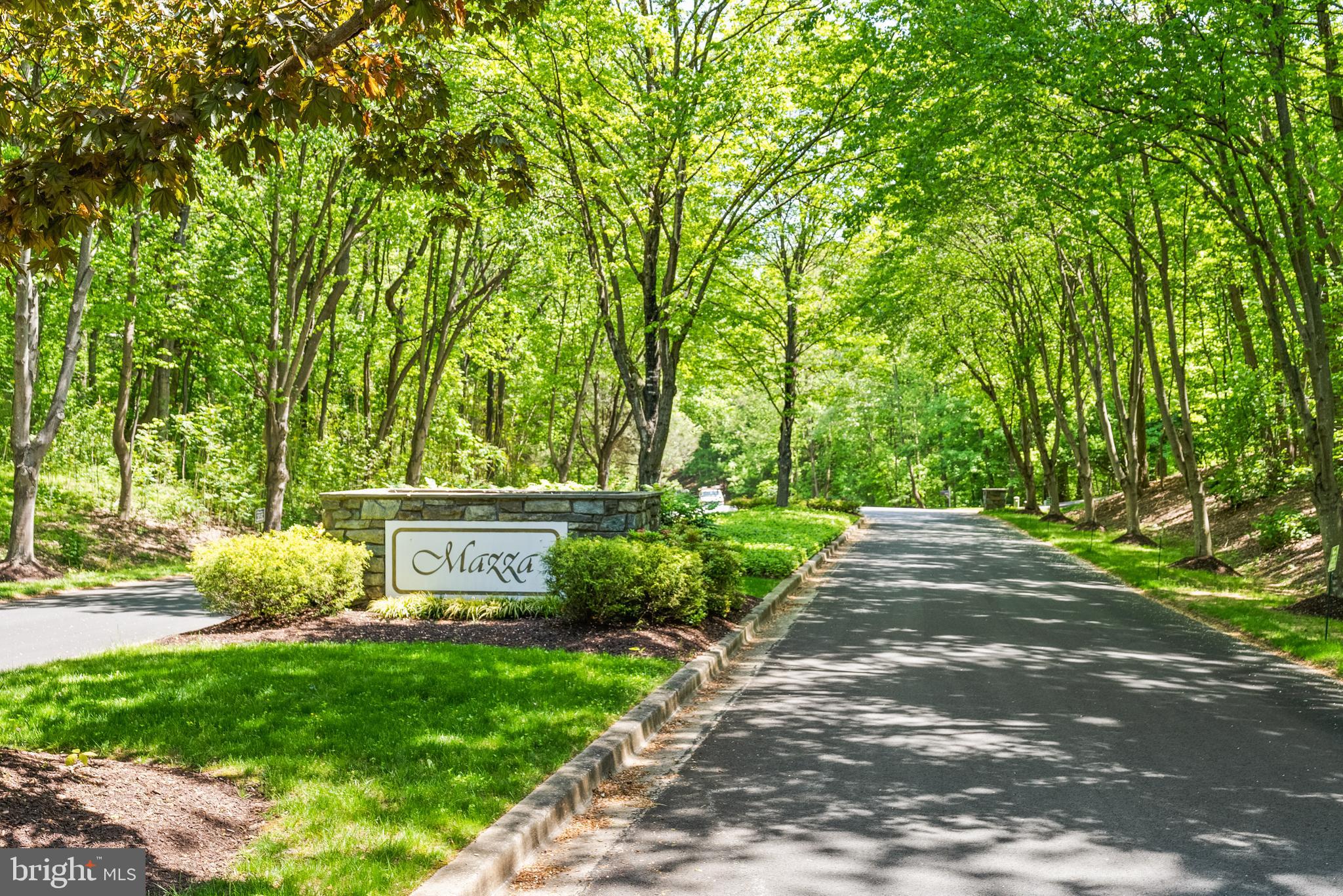 MAZZA WOODS - Residential