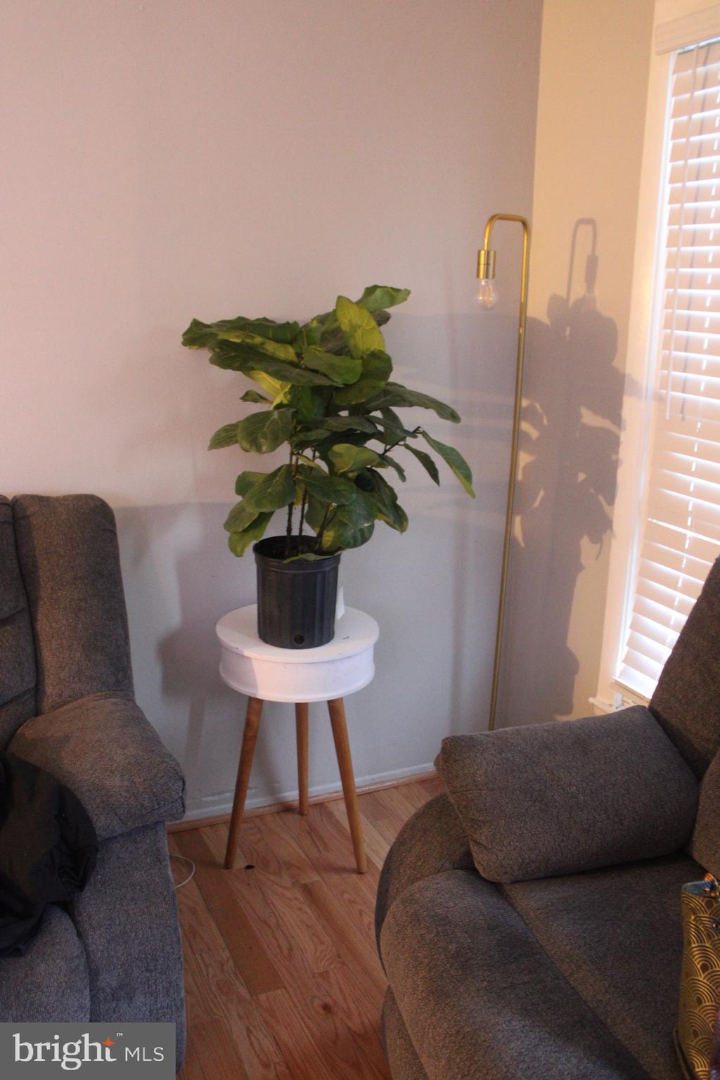 BELMONT - Residential