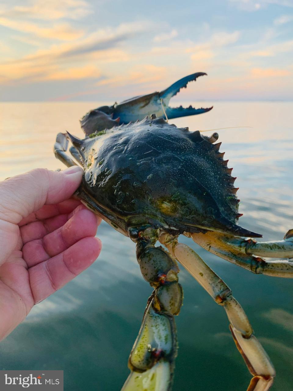 HEARTS EASE - Residential