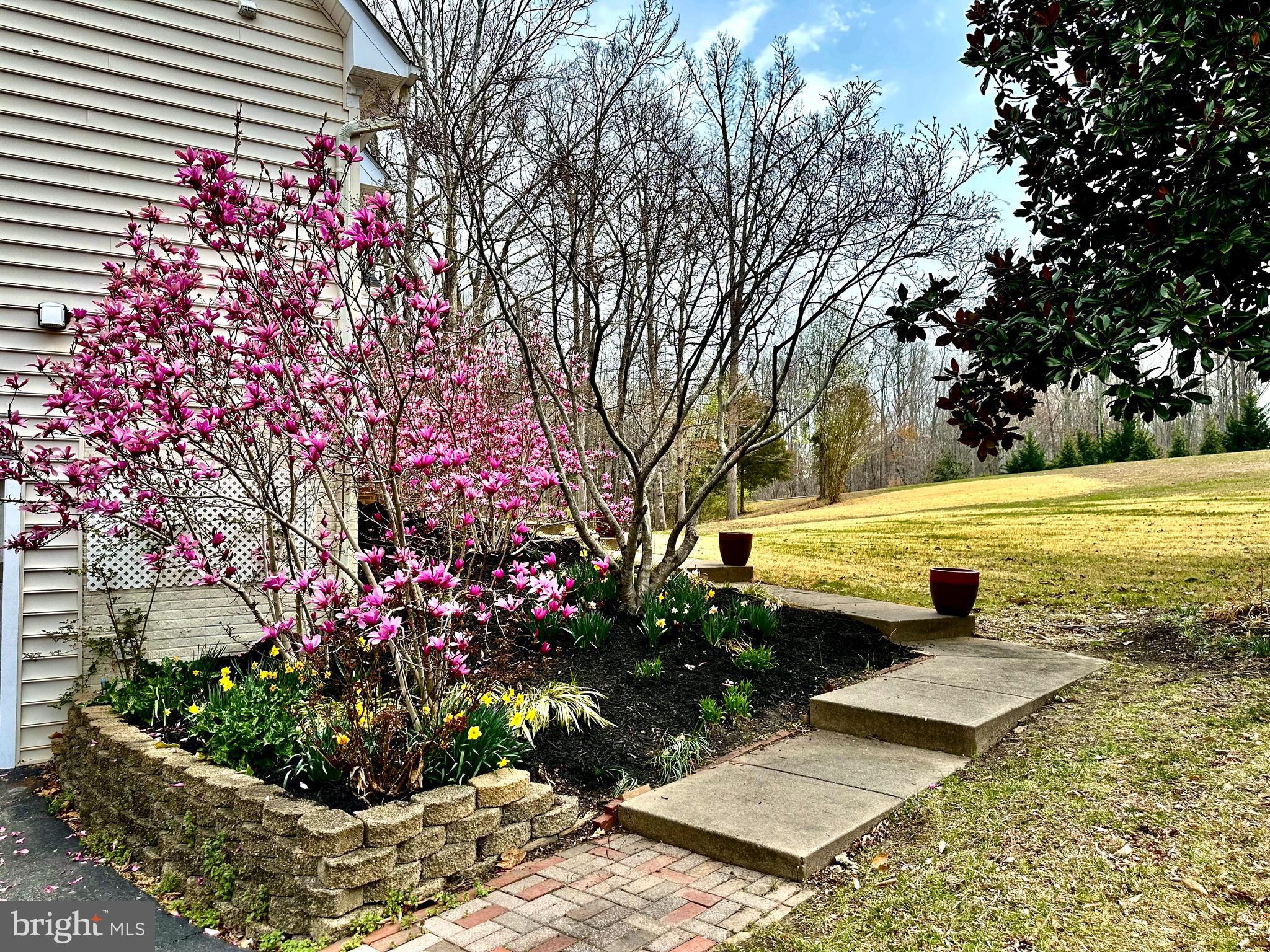 SUMMERS LANDING - Residential