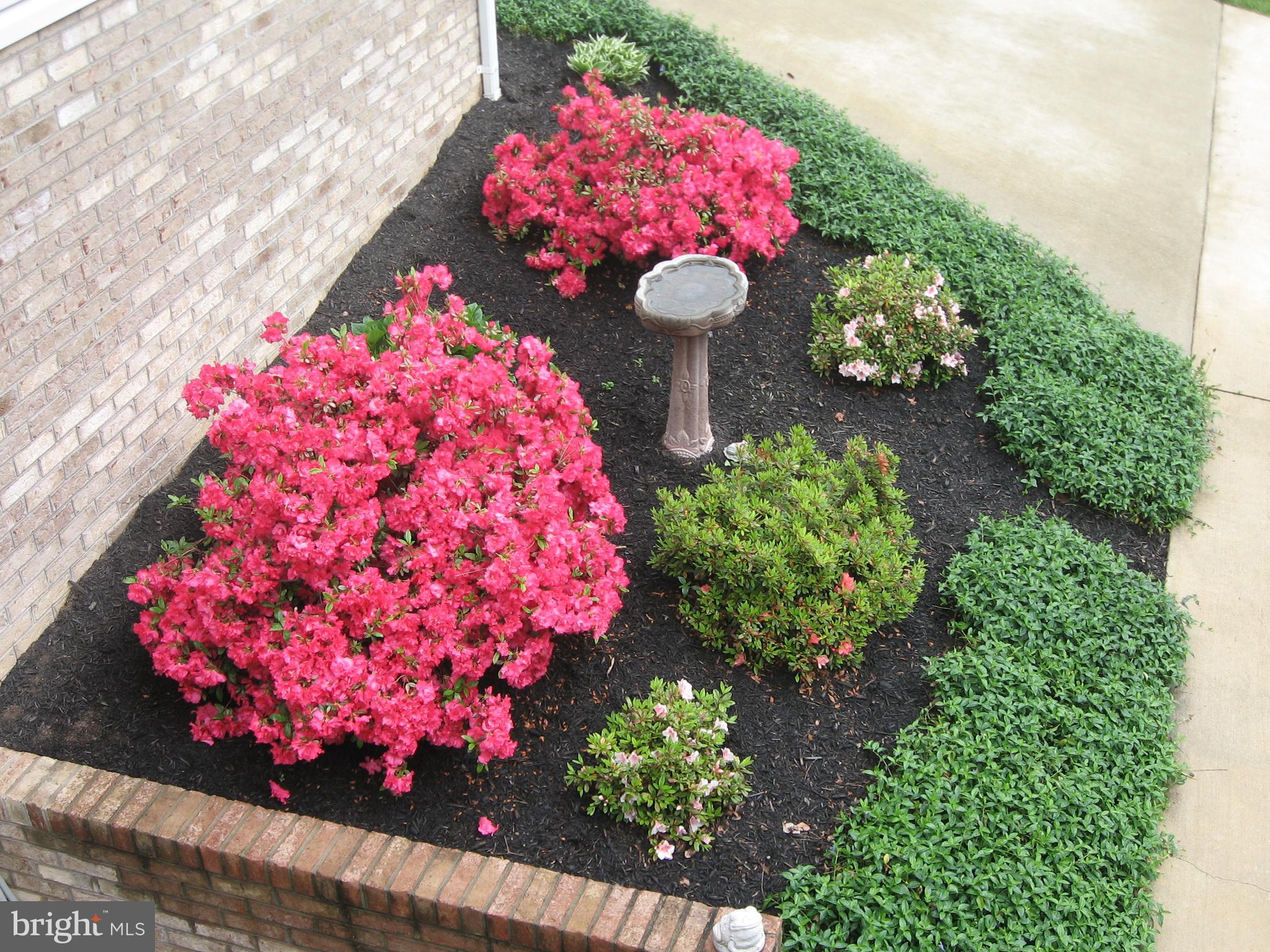 MADISON HEIGHTS - Residential