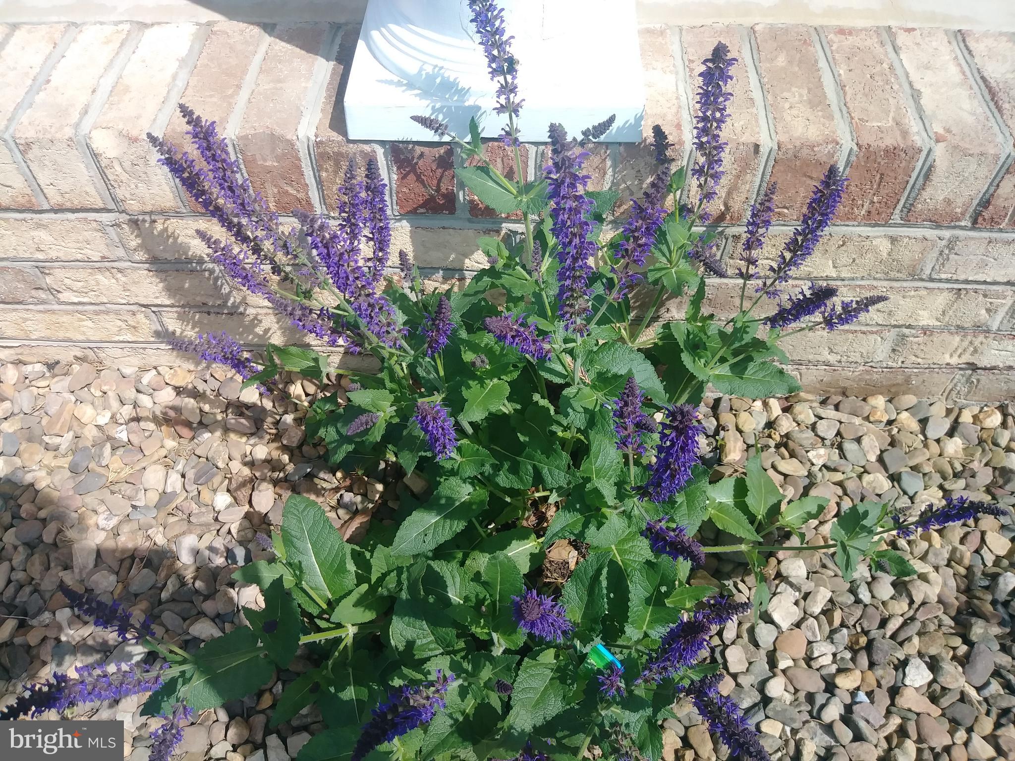 MADISON HEIGHTS - Residential