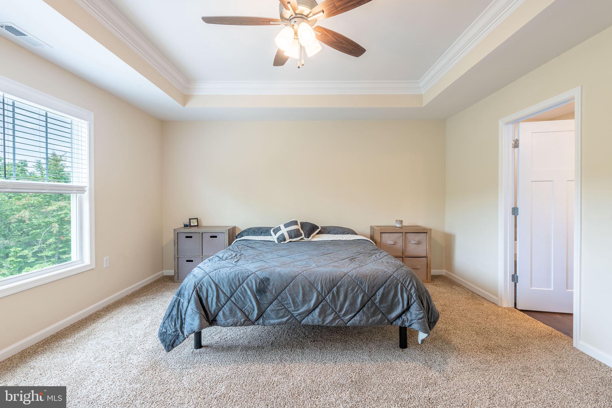 CHESTNUT HILL ESTATES - Residential