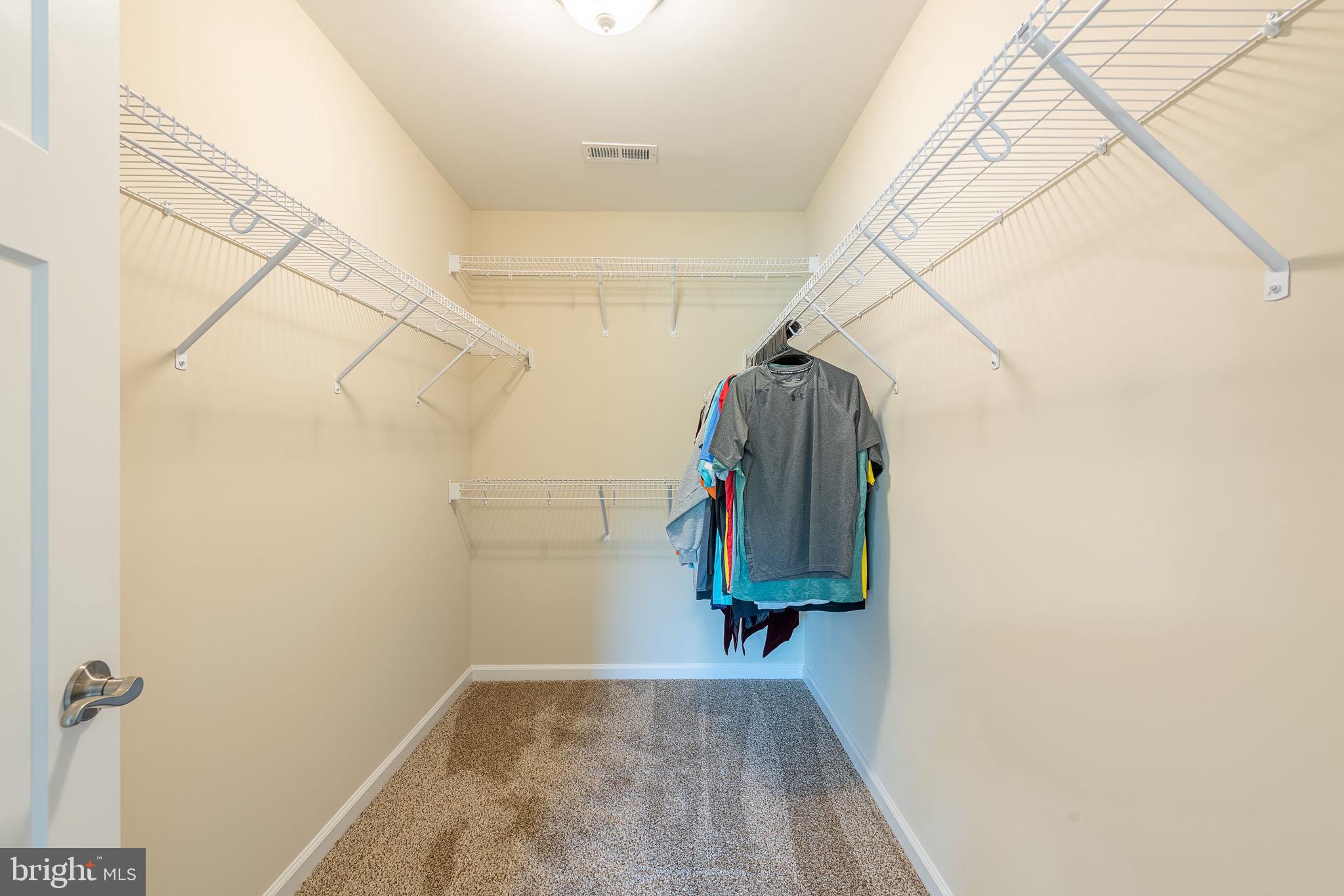 CHESTNUT HILL ESTATES - Residential