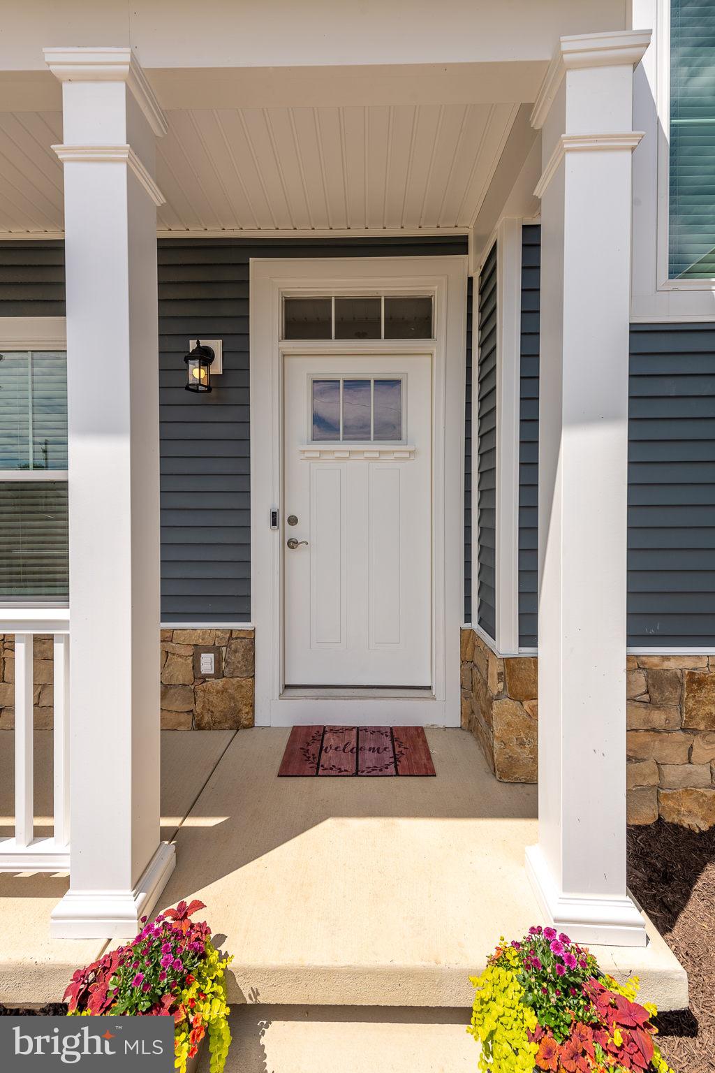 CHESTNUT HILL ESTATES - Residential