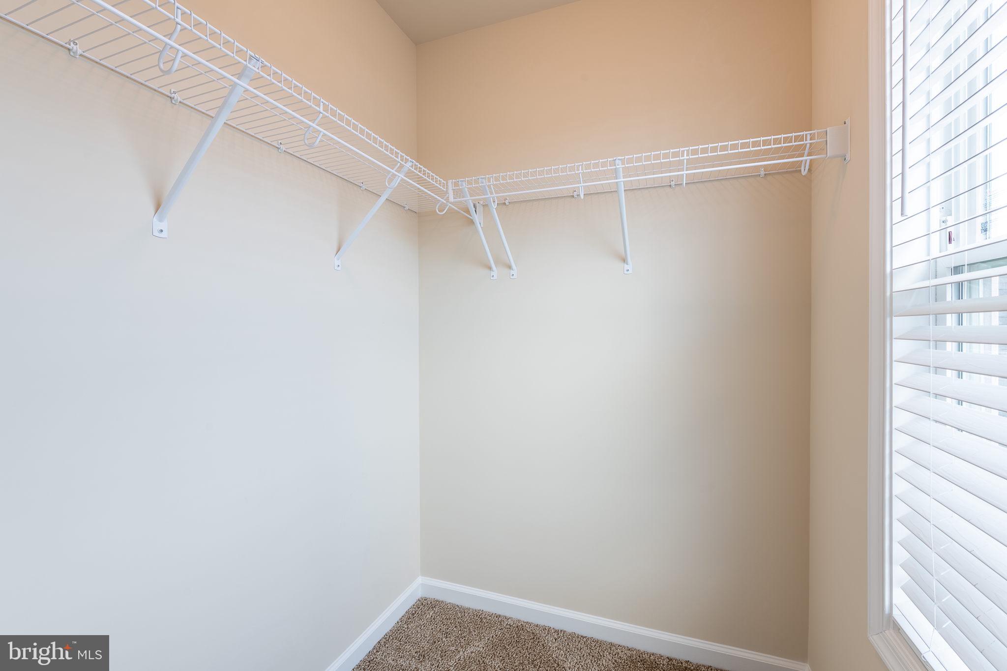 CHESTNUT HILL ESTATES - Residential