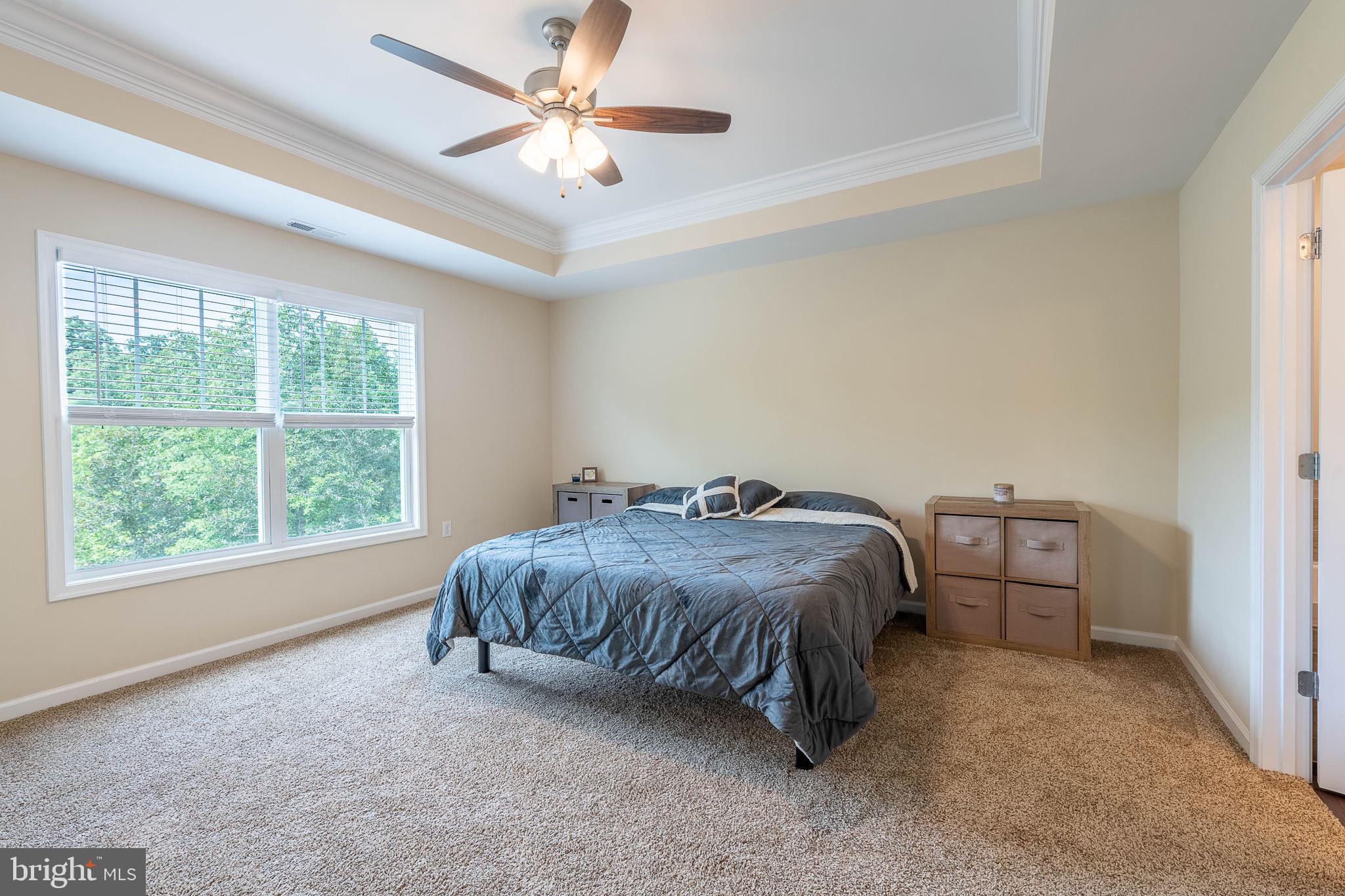 CHESTNUT HILL ESTATES - Residential