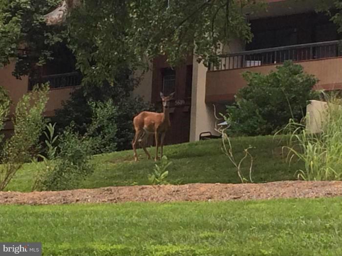 DEERING WOODS - Residential