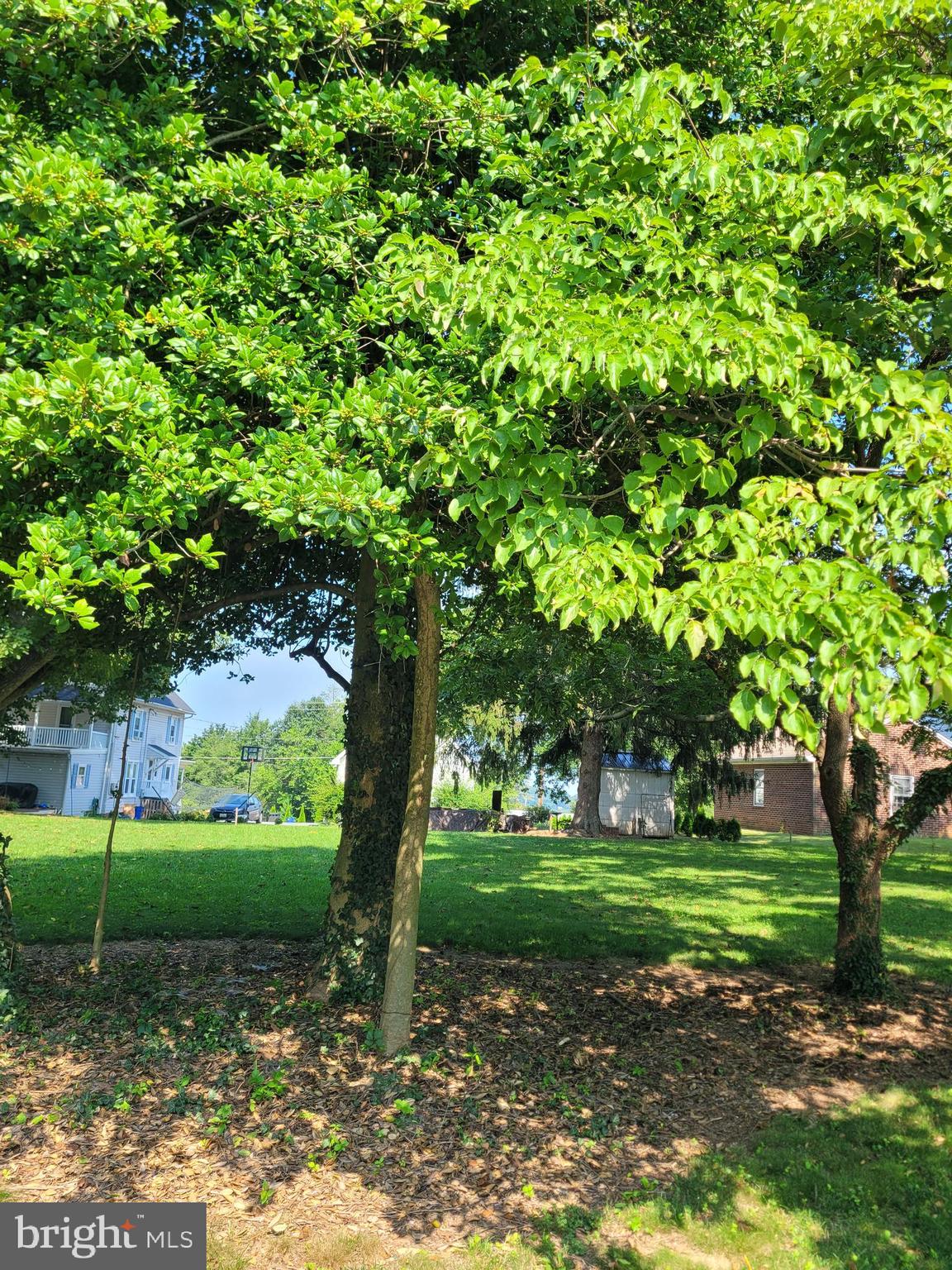 FRIENDSHIP HEIGHTS - Land