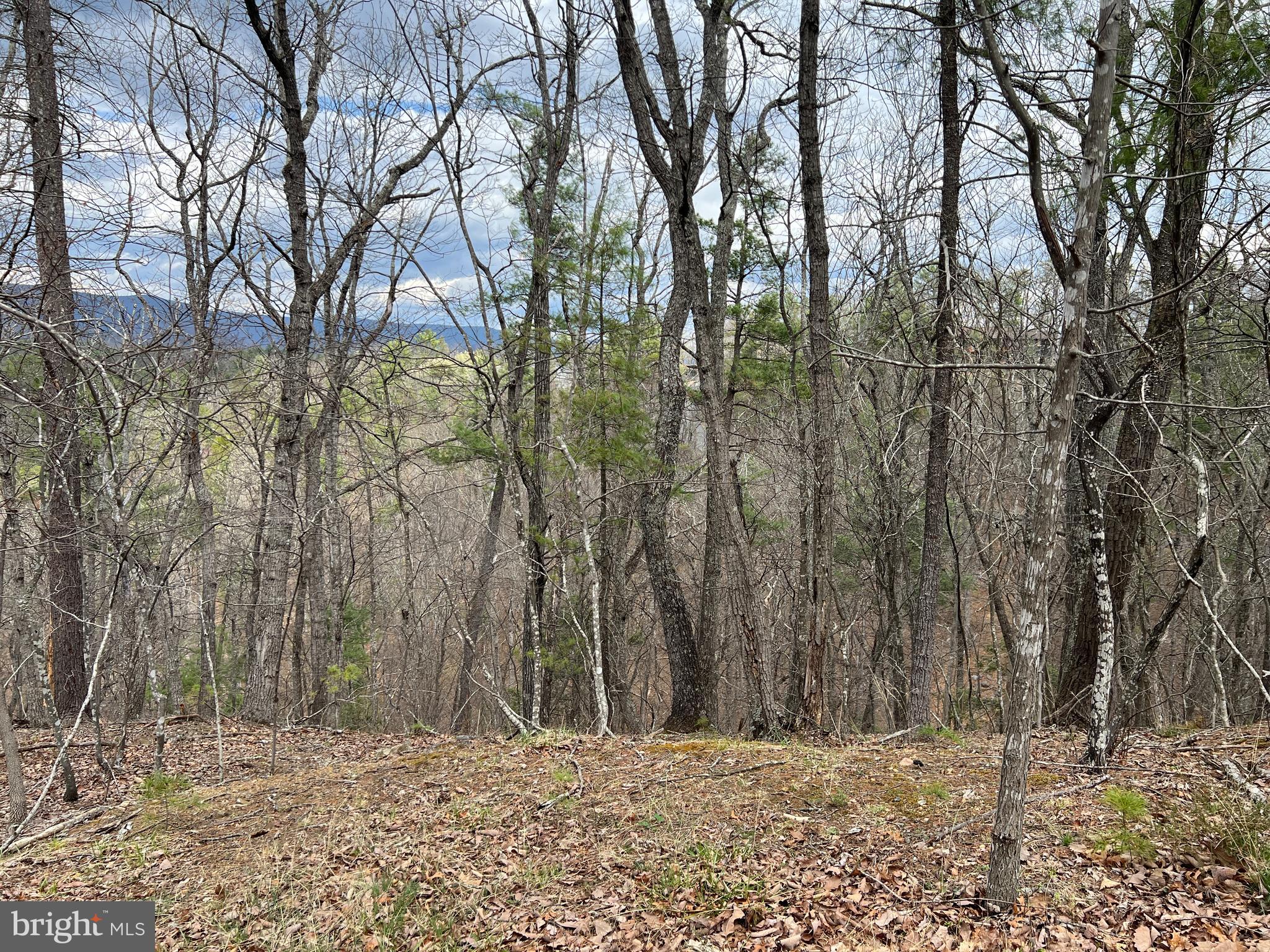 BRYCE MOUNTAIN RESORT - Land