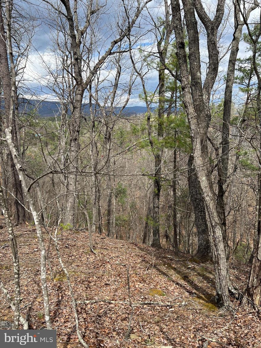 Lots with great views are like ocean front property! They are hard to find! Check this out. It may be the perfect lot for your dream home with a screened porch and deck looking toward Great North Mountain! You're gonna love it!