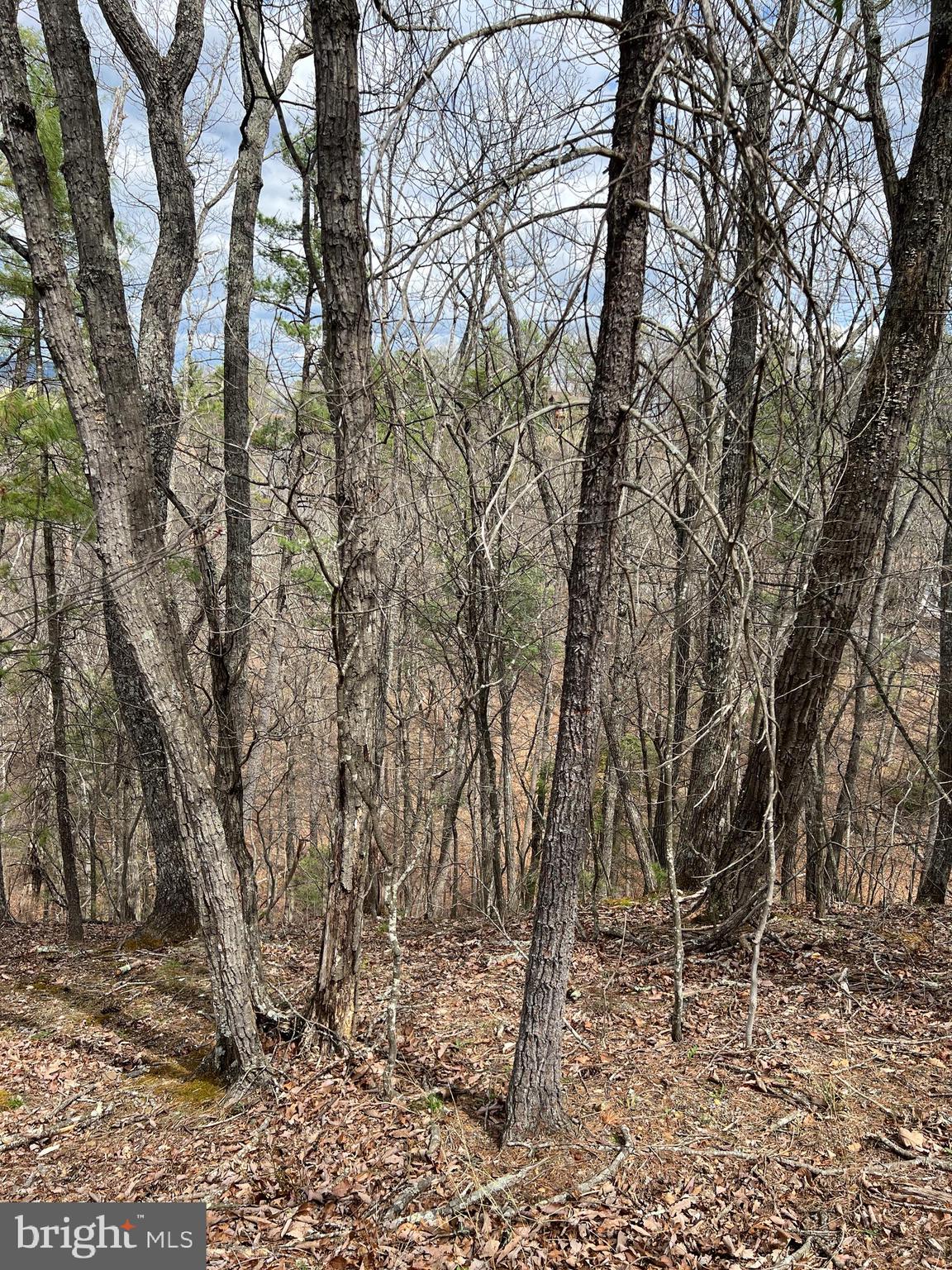 BRYCE MOUNTAIN RESORT - Land