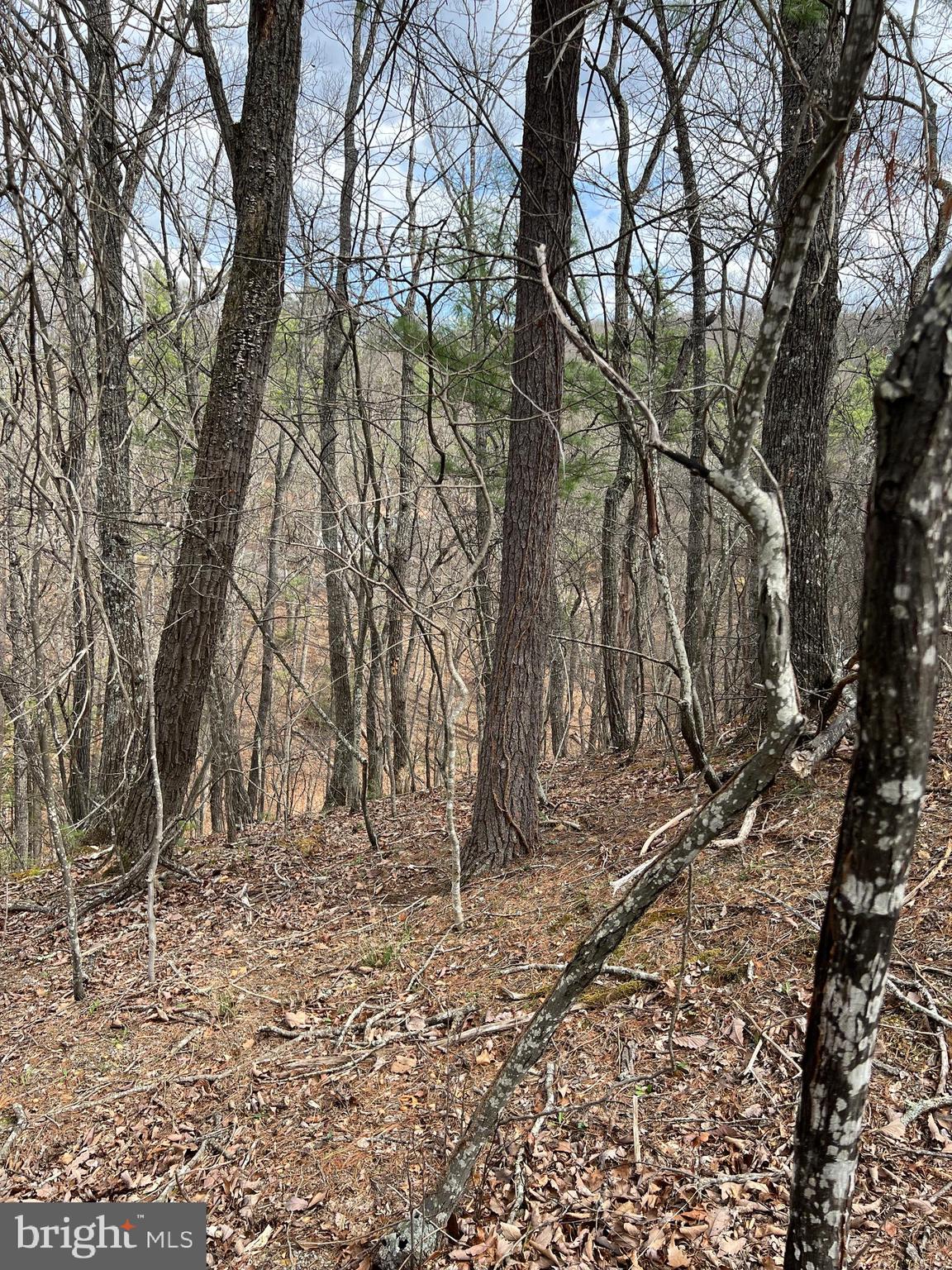 BRYCE MOUNTAIN RESORT - Land