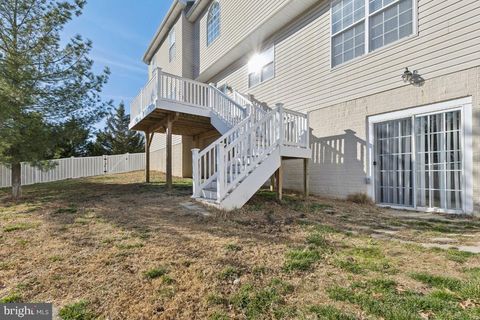 listing image 50