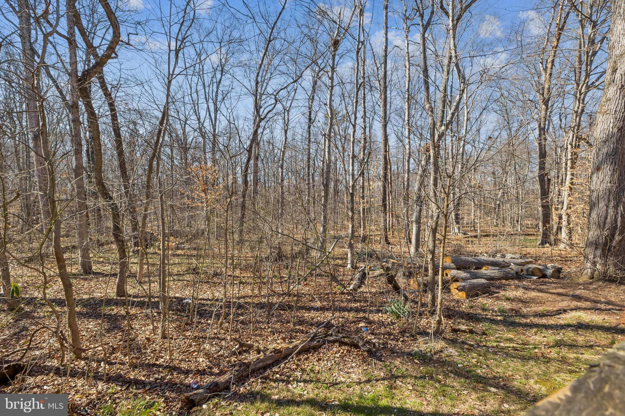 LONDON TOWNE - Residential