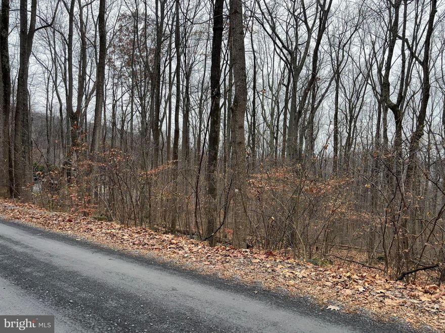 Such a lovely, regular lot with many trees, and you may have some beautiful views as well. Keep the privacy and trees or clear some out to see the mountains. The land is there for all you could dream of and desire to build.