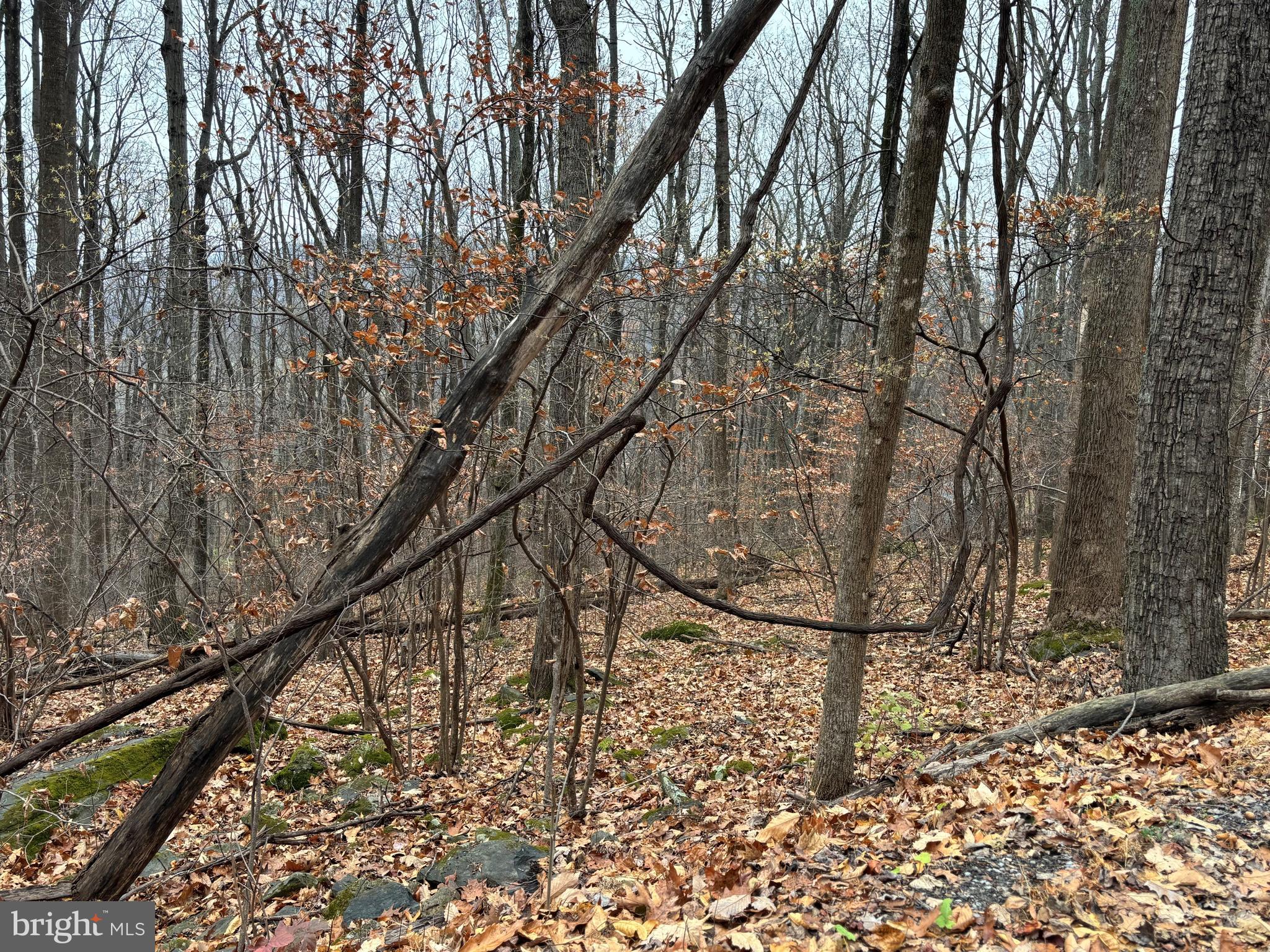 L12 APPLE MOUNTAIN LAKE S