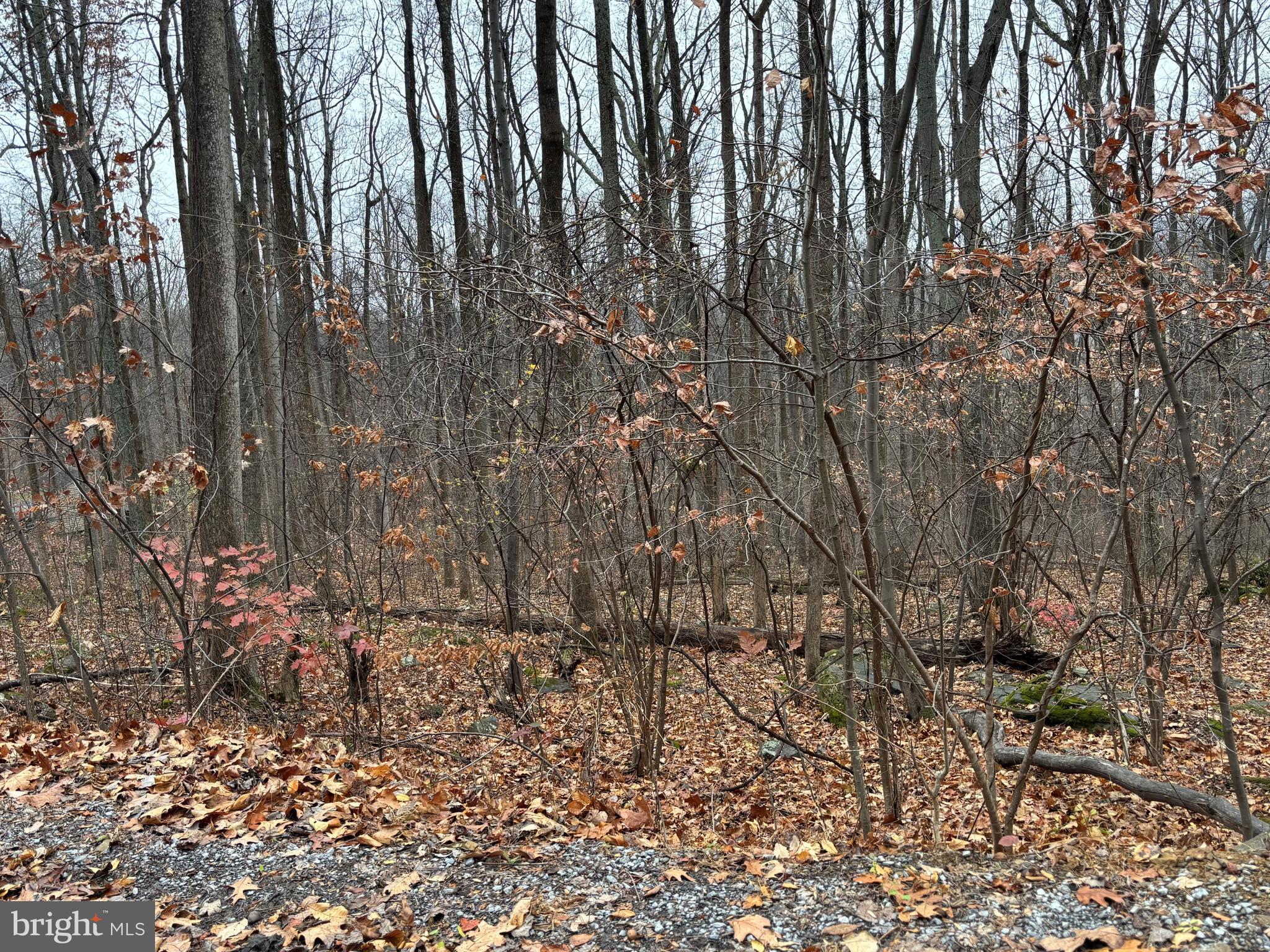 L12 APPLE MOUNTAIN LAKE S