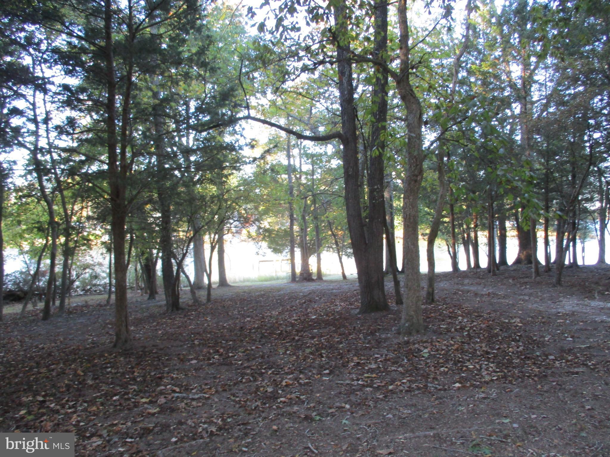 BAYSIDE - Residential