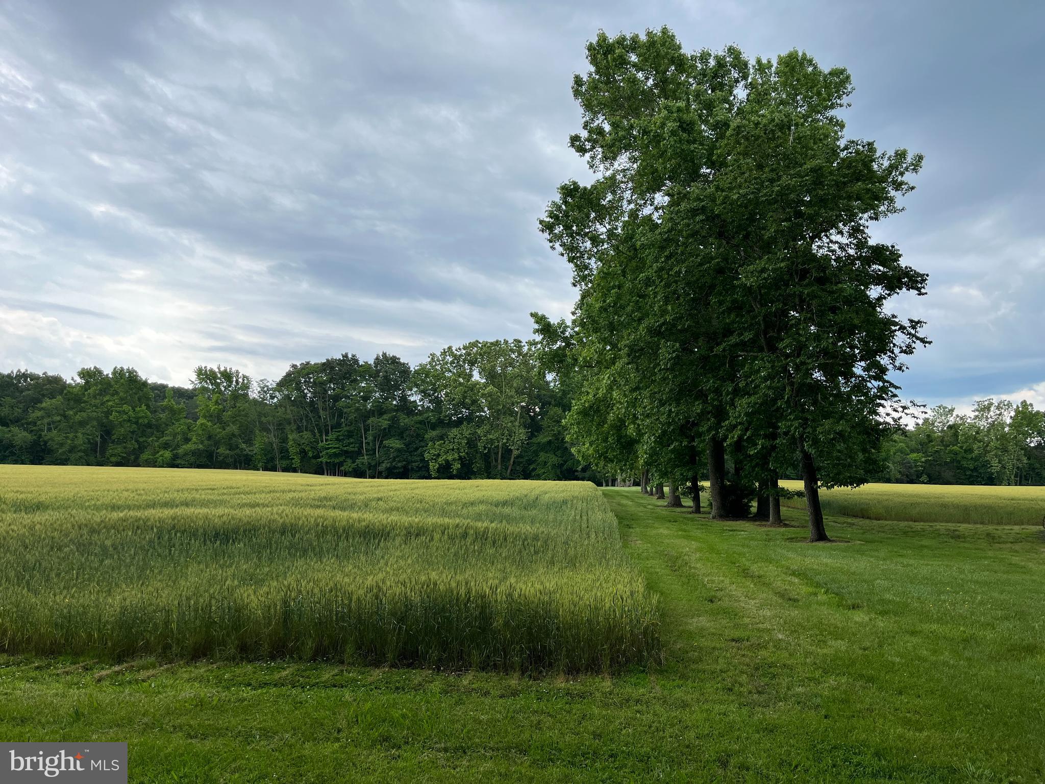 BAYSIDE - Residential